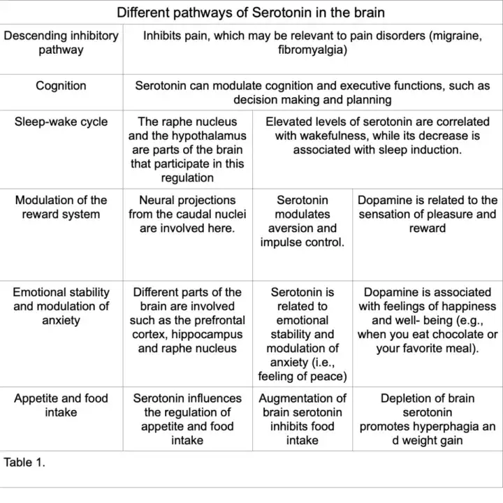 different pathways of serotonin in the brain