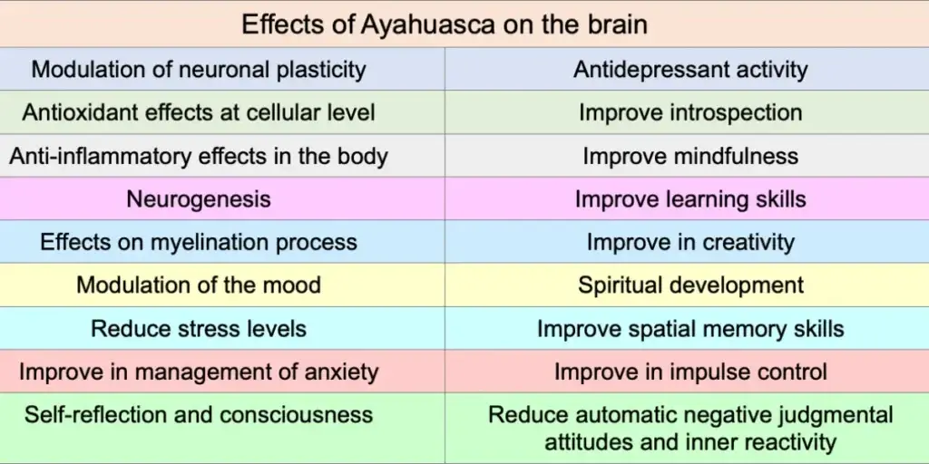 effects of ayahuasca on the brain (1)