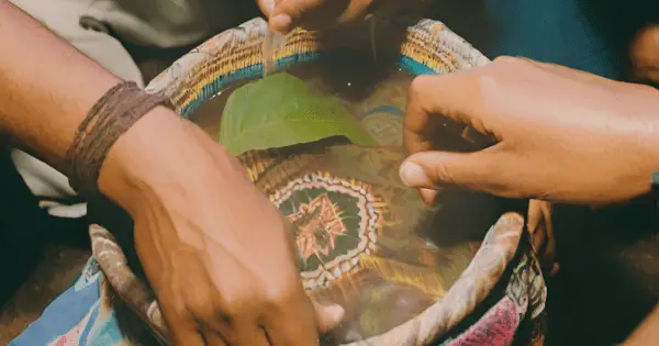 Ayahuasca Diet