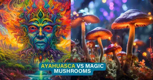 ayahuasca vs magic mushrooms