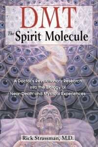 dmt the spirit molecule