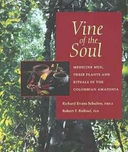 vine of the soul