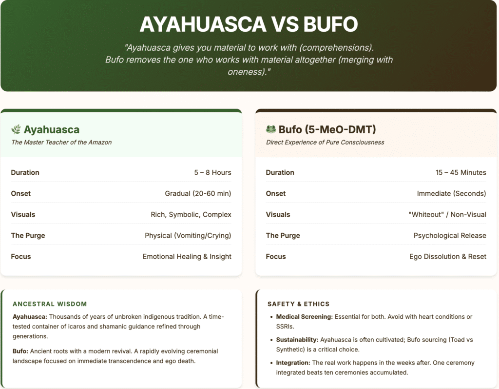 Comparison table showing key differences between ayahuasca and bufo (5-MeO-DMT) including duration, onset, visuals, purge, ego dissolution, and ancestral lineage