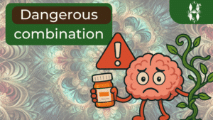 blog ayahuasca and ssri