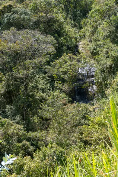 harmonica retreat colombia medellin location nature reserve