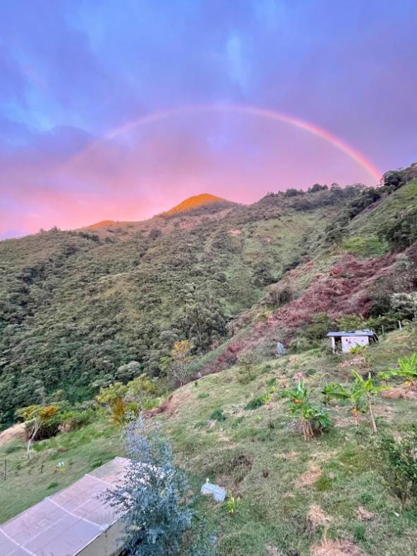 harmonica retreat location medellin mountain rainbow