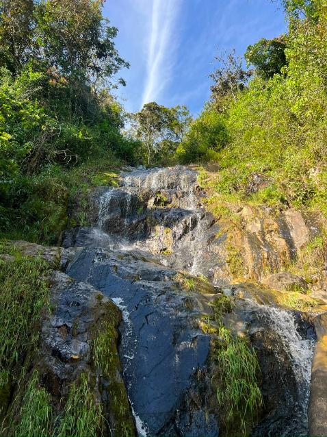 harmonica retreat location medellin waterfall