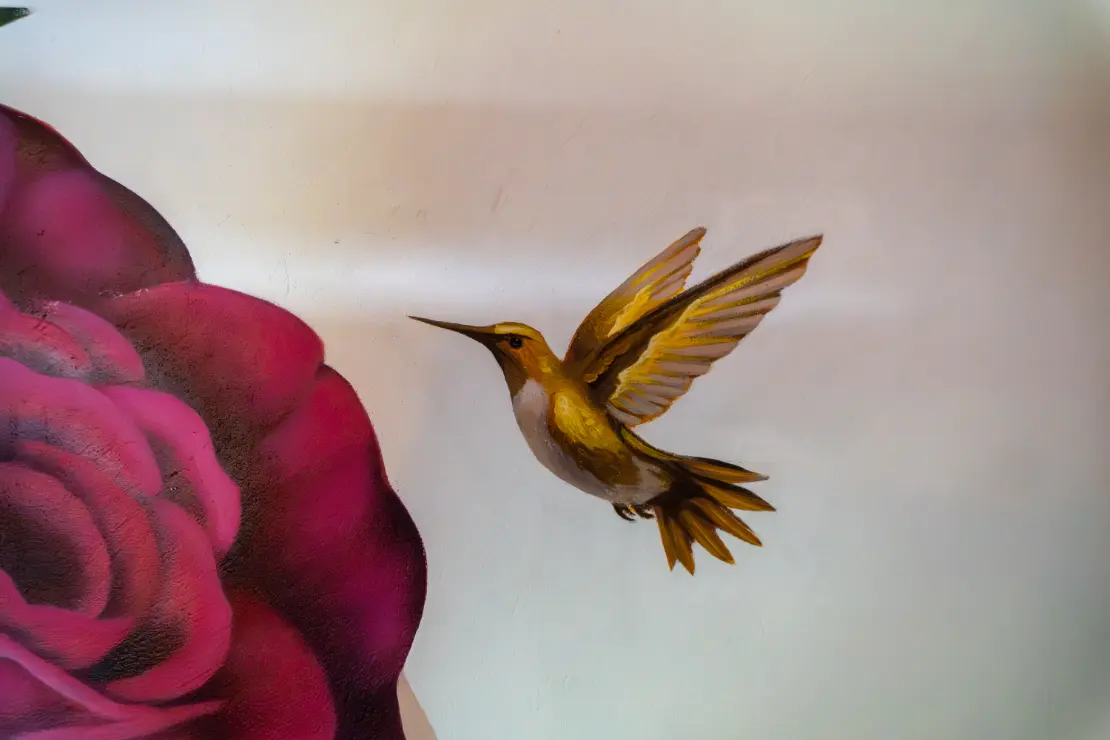 harmonica retreat location womens accommodation hummingbird