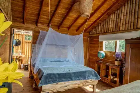 ayahuasca life transitions accommodation harmonica retreat colombia