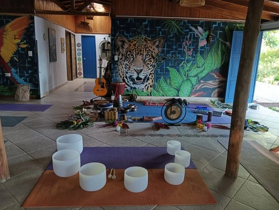 Crystal singing bowls and gongs set out in front of the jaguar mural before a sound healing ceremony in Medellin