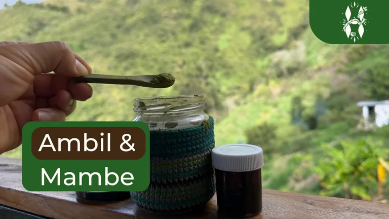 Ambil and Mambe - Understanding the ancient tradition behind these two powerful plants