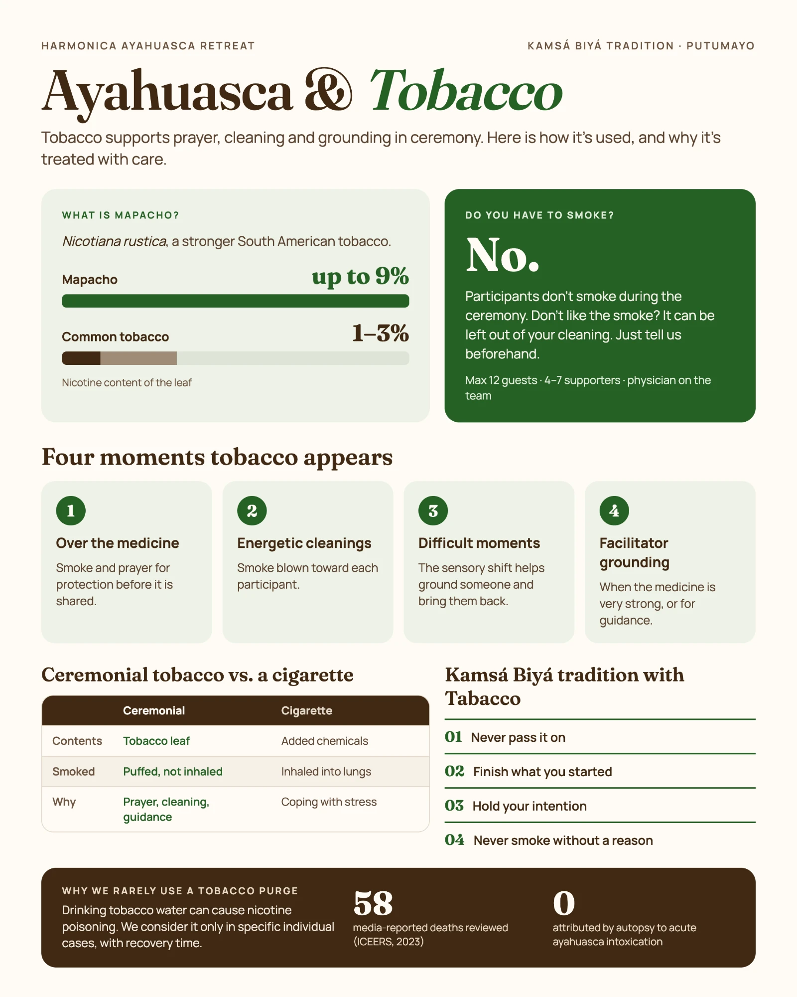 Ayahuasca and tobacco: mapacho, ceremony and the Kamsá Biyá tradition Ayahuasca and tobacco infographic: mapacho (Nicotiana rustica) has up to 9% nicotine versus 1 to 3% in common tobacco; participants do not smoke during the ceremony; the four moments tobacco appears (over the medicine, energetic cleanings, difficult moments, facilitator grounding); ceremonial tobacco versus a cigarette; Kamsá Biyá rules for tobacco; and why the tobacco purge is rarely used
