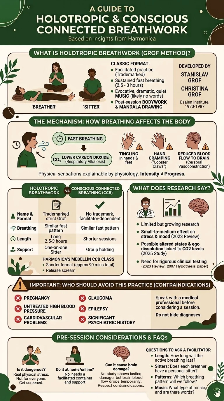 Holotropic and conscious connected breathwork at a glance Holotropic and conscious connected breathwork infographic: the classic Grof format with breather and sitter, how fast breathing lowers carbon dioxide and causes tingling and lobster-claw hands, holotropic breathwork vs CCB, what the research says, who should avoid it, and questions to ask a facilitator