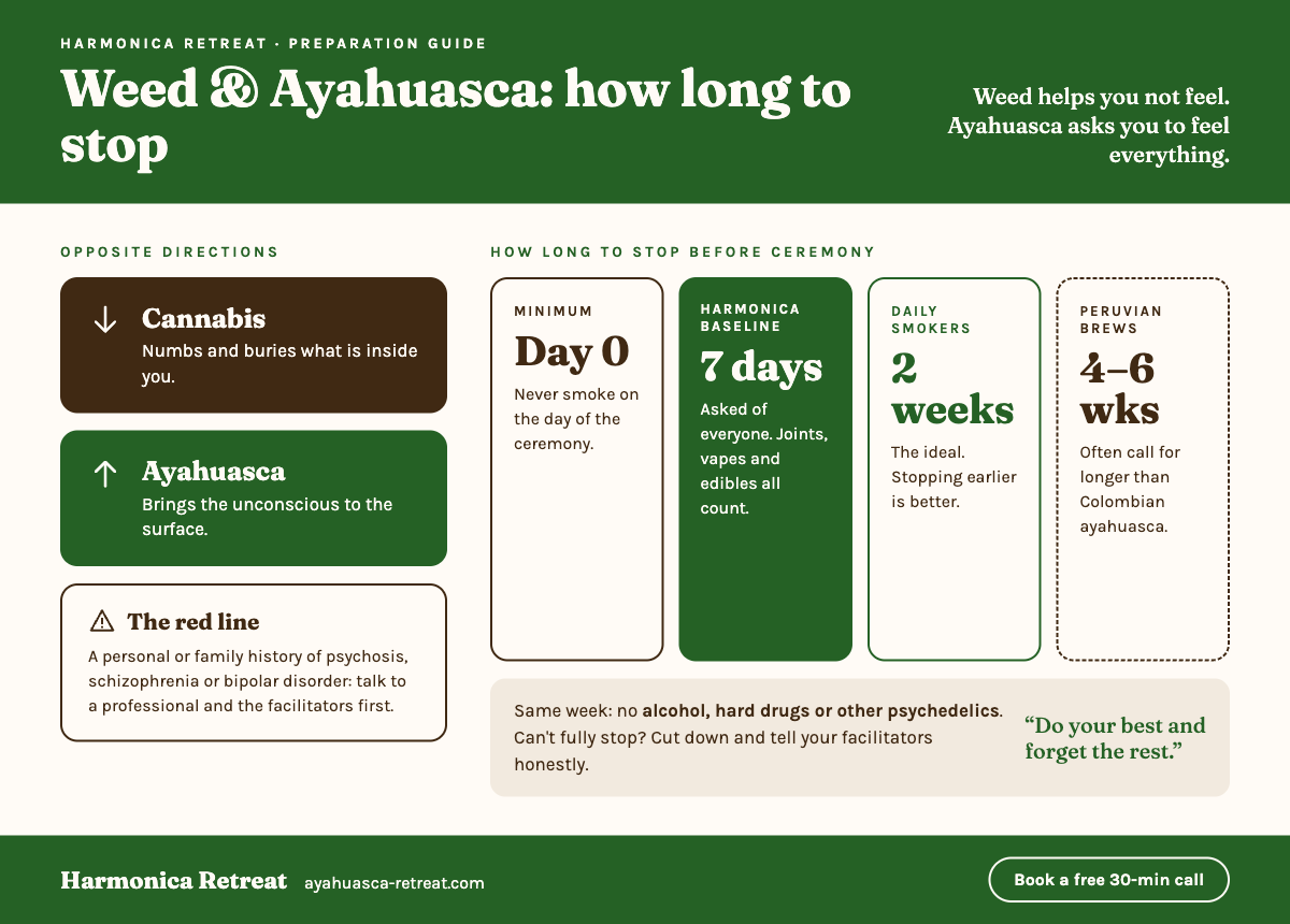 Weed and ayahuasca infographic: how long to stop smoking weed before an ayahuasca ceremony. Never on the day, 7 days for everyone, 2 weeks for daily smokers, 4 to 6 weeks for Peruvian brews.