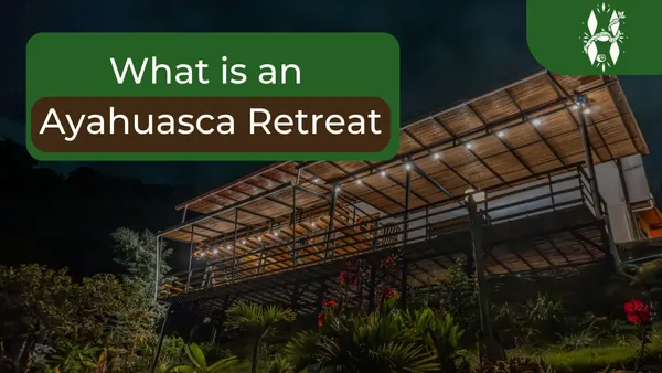 What is an ayahuasca retreat: the Harmonica retreat building lit up at night near Medellín, Colombia