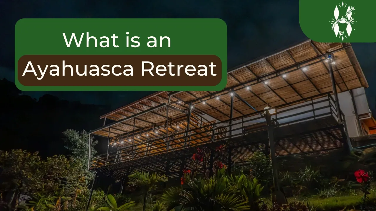 What is an ayahuasca retreat: the Harmonica retreat building lit up at night in the mountains near Medellín, Colombia