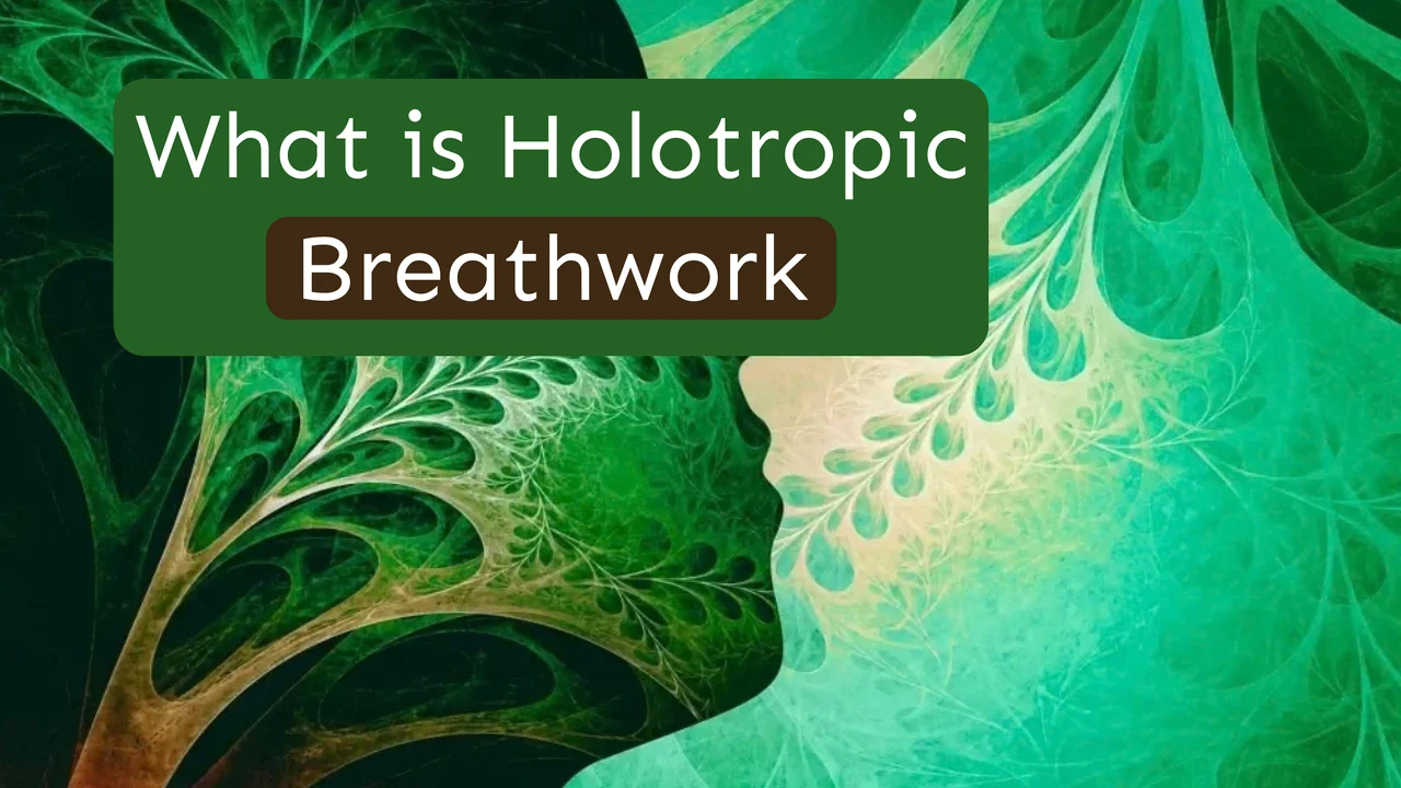 What is holotropic breathwork: Harmonica guide cover with green fractal artwork of a human profile